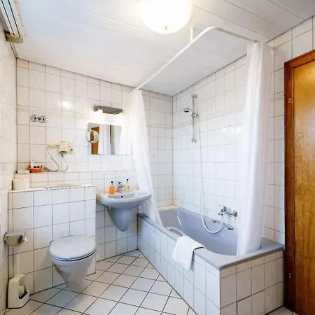 Ruedesheimer Hof Hotel Ruedesheim am Rhein