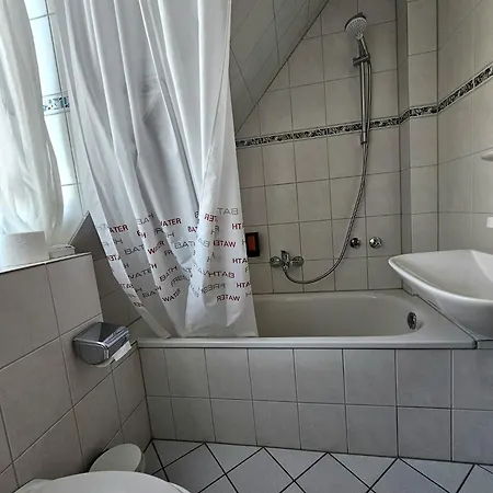 Ruedesheimer Hof 3*