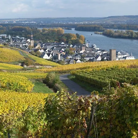 Ruedesheimer Hof Hotel Ruedesheim am Rhein